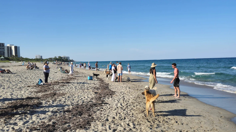 Spanish River Park Beach
