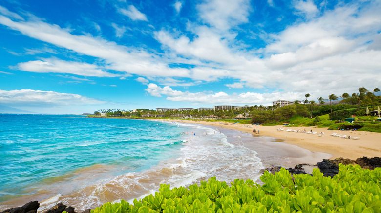 Wailea Beach