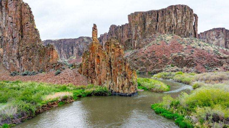 A canyon along the Owyhee River