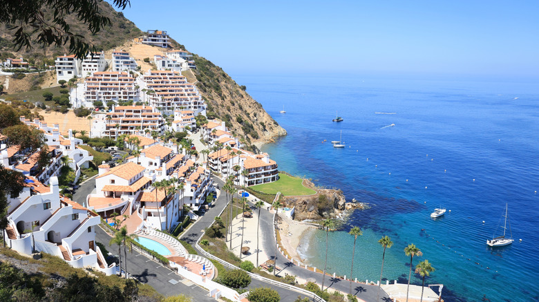 The city of Avalon's white buildings on Catalina Island in California