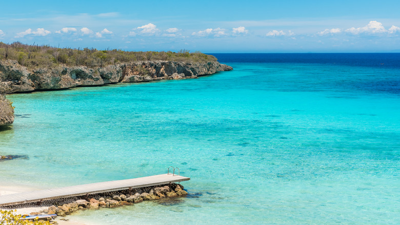View of the Playa PortMari shoreline and jetty