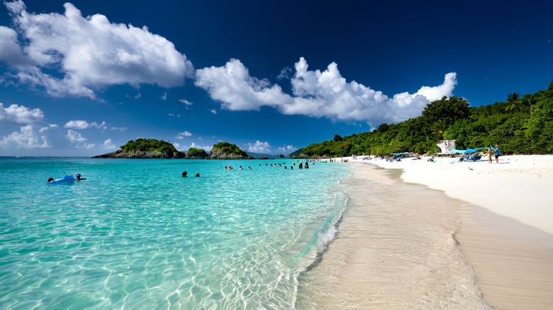 View of shoreline and swimmers at Trunk Bay in the Virgin Islands