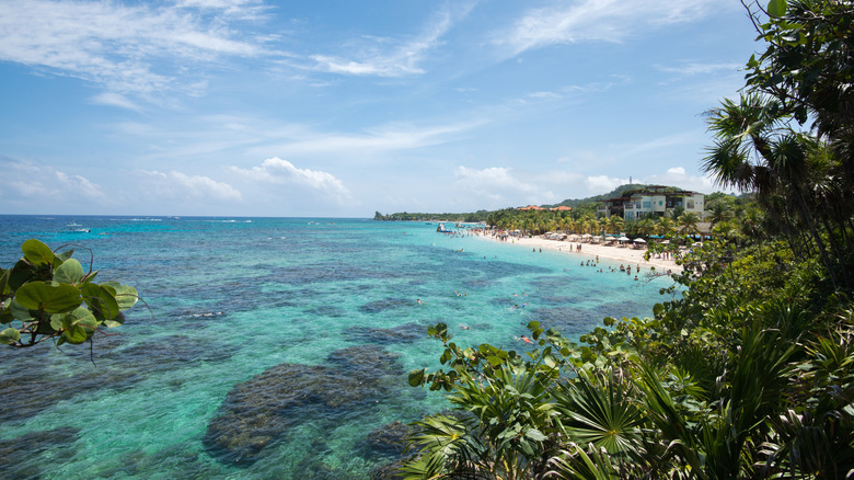 View of West Bay Beach and some coral formations along the shore