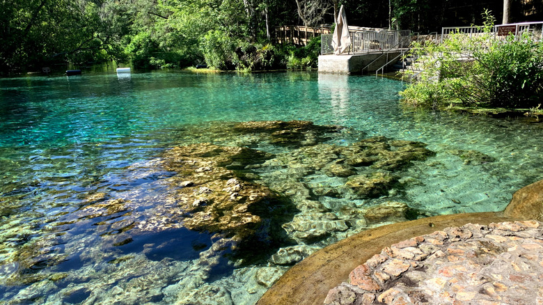 spring in Ichetucknee Springs State Park
