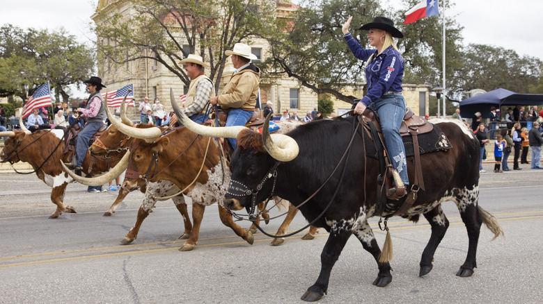 People riding longhorn cattle through the streets of Bandera, Texas