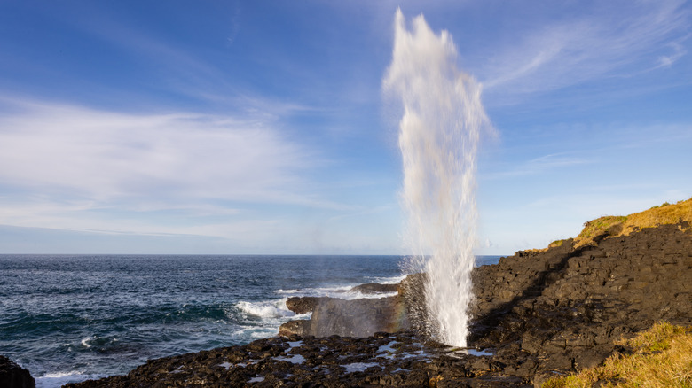 The famous Little Blowhole on the coast of the scenic town of Kiama in New South Wales, Australia