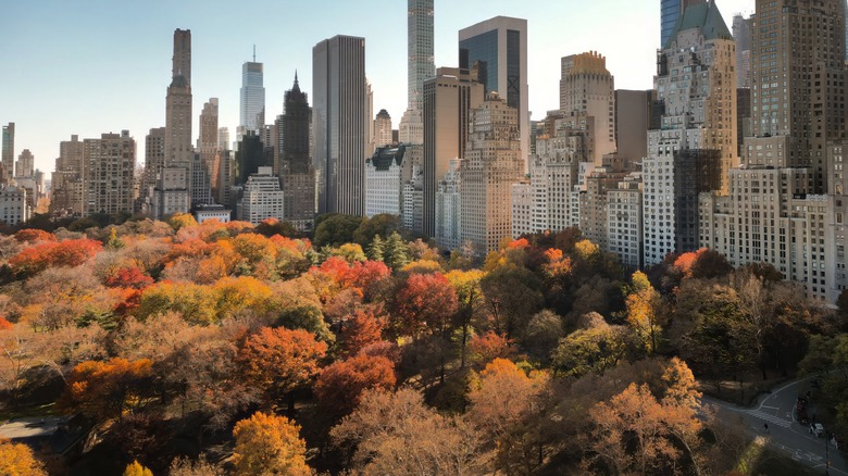 New York City in autumn