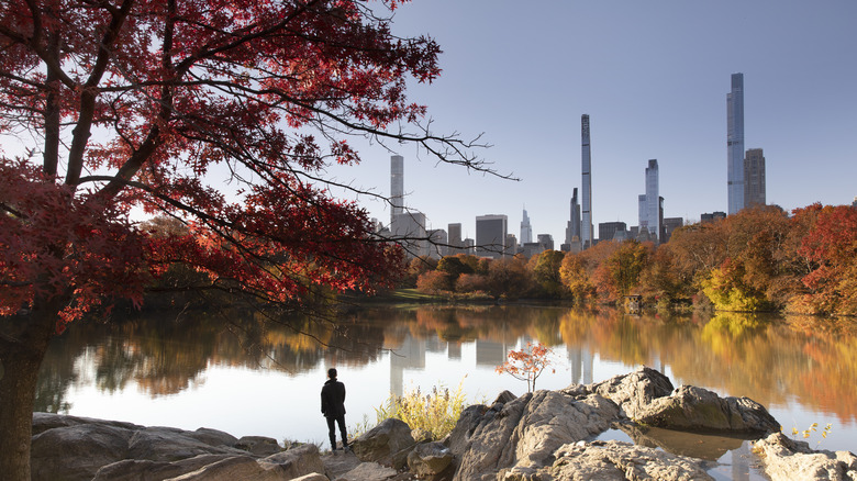 Person in autumn Central Park