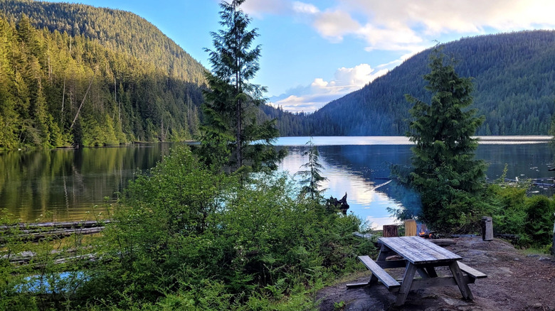 Picnic table for resting and refueling along Canada's Sunshine Coast Trail