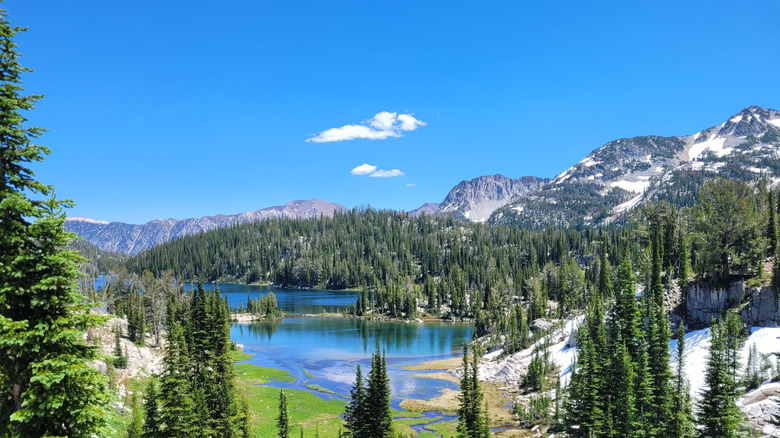 A view of  a lake and trees in Eagle Cap Wilderness