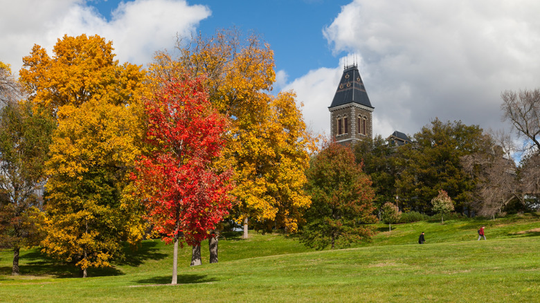 Fall foliage around a tower at Cornell University campus in Ithaca, New York