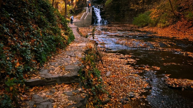 Bridge over Cascadilla Gorge in Ithaca, New York in the fall