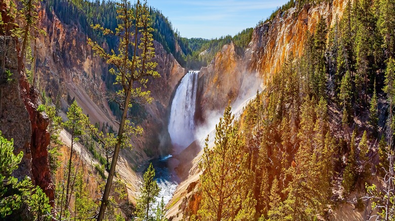 The waterfalls of the Grand Canyon of the Yellowstone in Wyoming