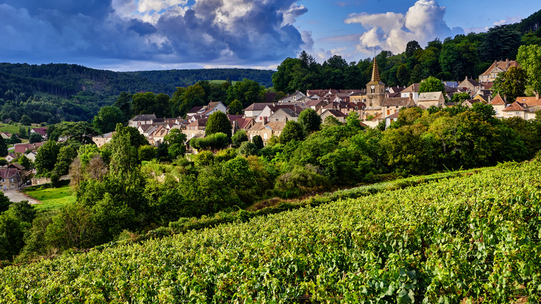 Hillside village near vineyards in the French wine region, Burgundy