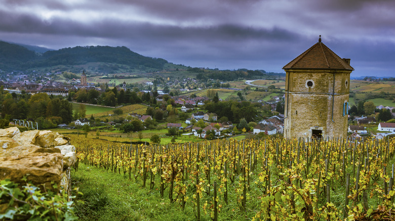Arbois, Jura, France surrounded by yellowed vineyards under a stormy sky