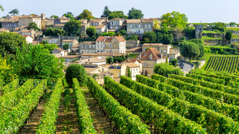 Vineyards leading to a small village in Bordeaux, France