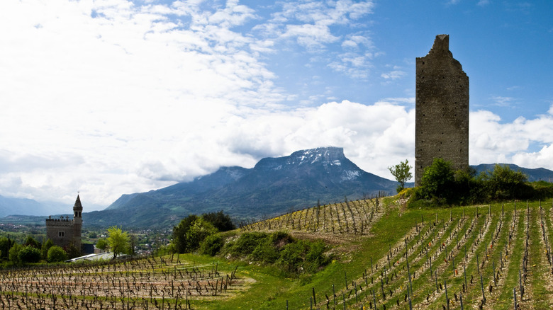 France's Savoie wine region at the foot of the Alps near a castle and ruins
