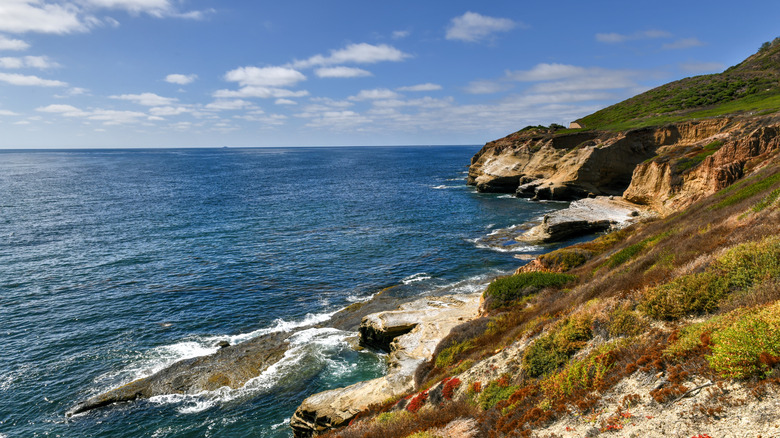 Coastline views from the Cabrillo National Monument