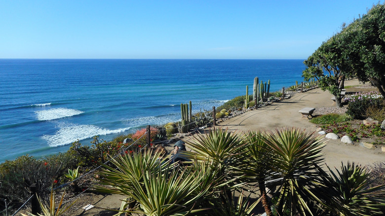 Ocean views from Encinitas' Meditation Gardens in North San Diego County