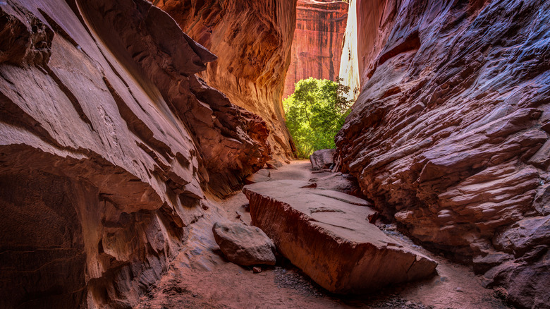 Burr Trail Singing Canyon in Utah