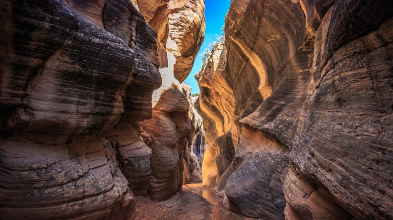 Wavy rock formations in Willis Creek Canyon