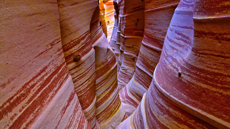 White rock stripes in Zebra Slot Canyon, Utah
