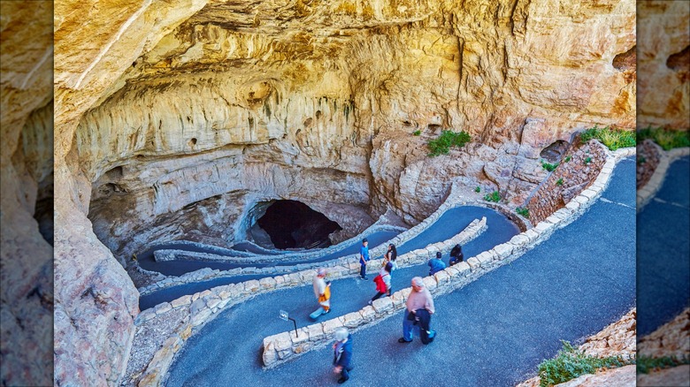 Carlsbad Caverns National Park in New Mexico