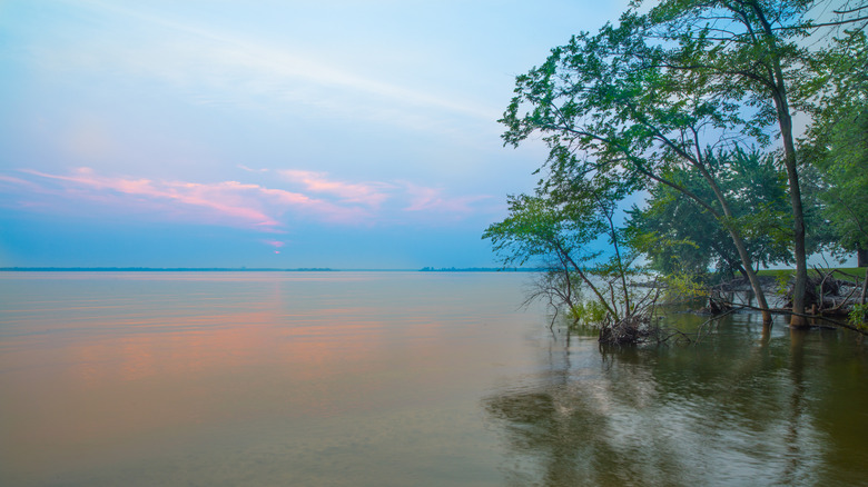The sunsets over Rend Lake's calm water while a tree stands in the water.