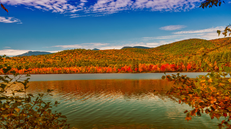autumn foliage at Chocorua Lake