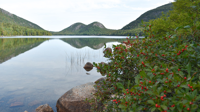 Jordan Pond Path in Acadia National Park