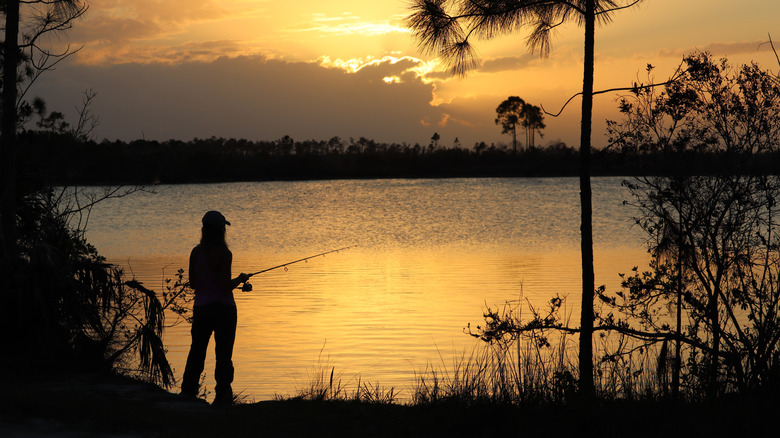 A woman fishing at sunset on a lake in Everglades National Park in Florida