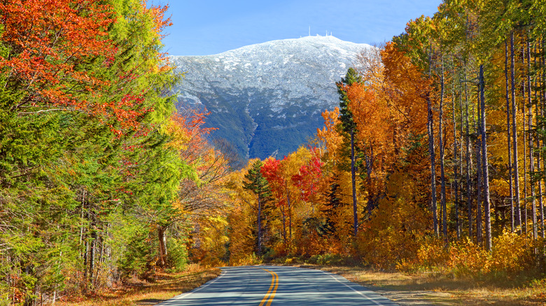 Mount Washington with fall foliage at the forefront