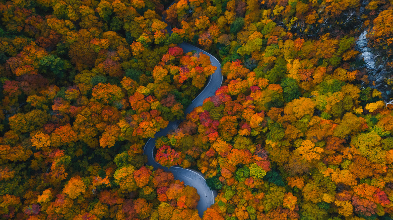 Gorgeous autumnal colors at Smugglers' Notch