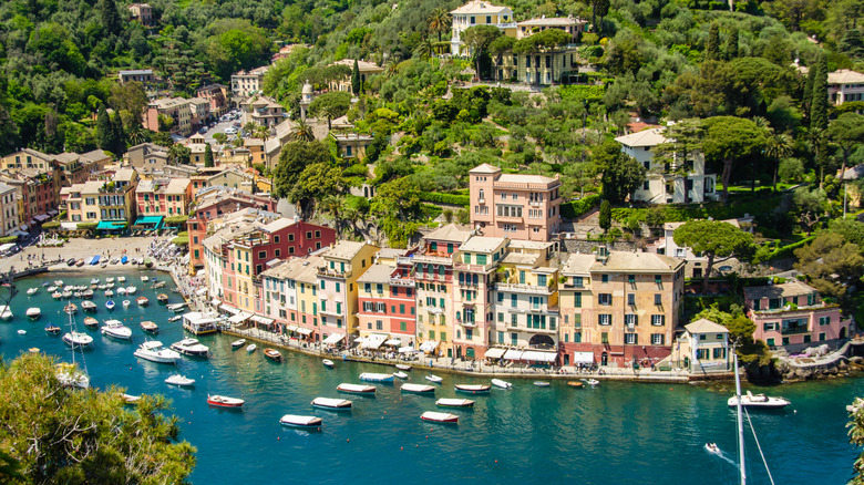 Portofino coast with boats and buildings