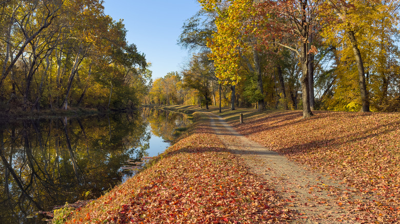 Delaware and Raritan Canal State Park in fall