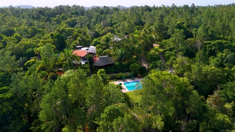 An aerial view of the jungle surrounding Blancaneaux Lodge with a pool in the center