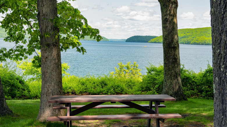 Picnic area near Quabbin Reservoir in Massachusetts