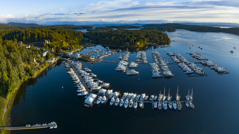 Roche Harbor on San Juan Island, seen from above
