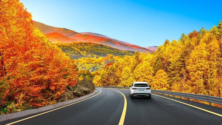 scenic road trip