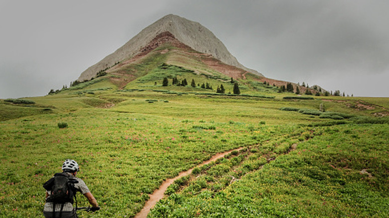 A bike trail in the San Juan Mountains around Durango