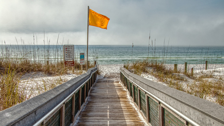 A boardwalk leading to the beach
