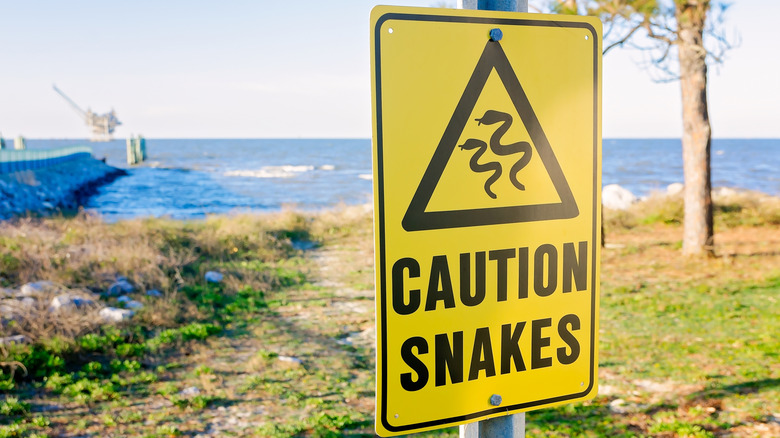 A sign cautions tourists about snakes near the Mobile Bay ferry landing at Fort Morgan, in Gulf Shores, Alabama.