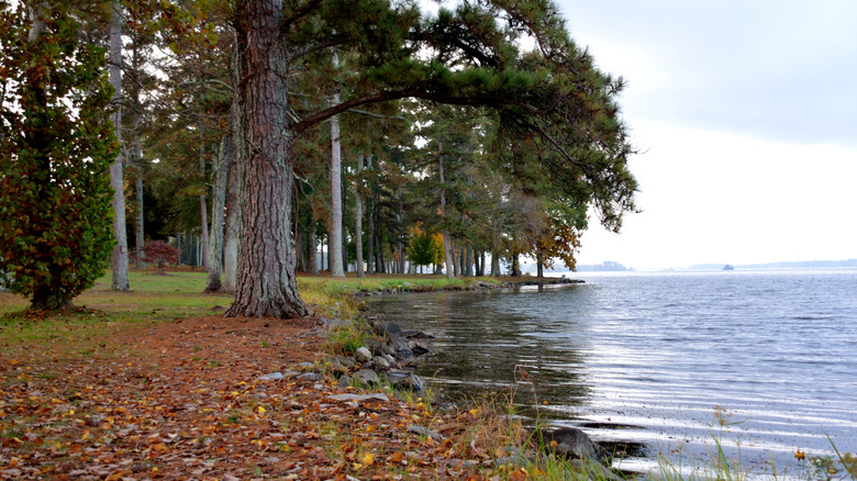 Lakeshore at a park located at Lake Guntersville, Alabama.
