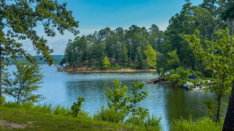 A scenic view of Lake Ouachita's tree-covered shoreline and calm waters in Arkansas