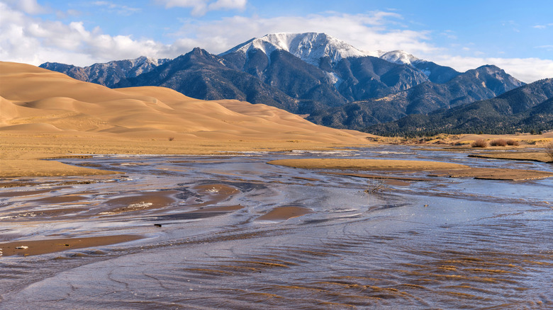 A creek floods across the dunes at Great Sand Dunes National Park, Colorado.