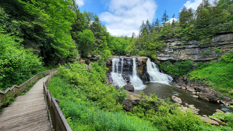 A walking trail alongside a cascading waterfall