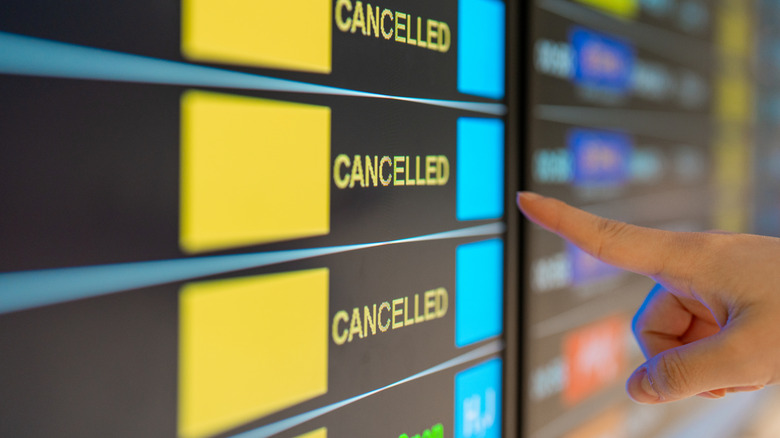 Someone pointing their "canceled" flight on the flight information system