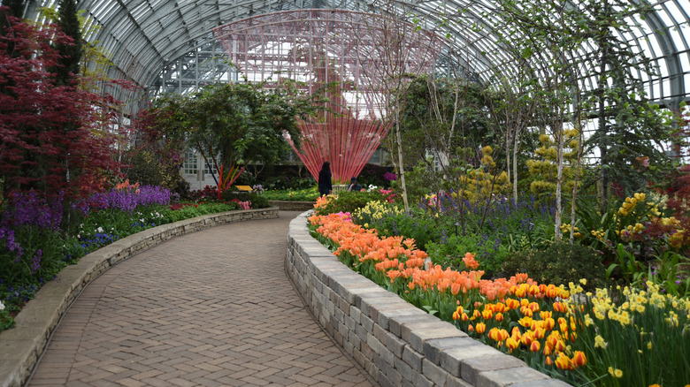 Interior of Garfield Park Conservatory