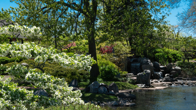Jackson Park in Chicago