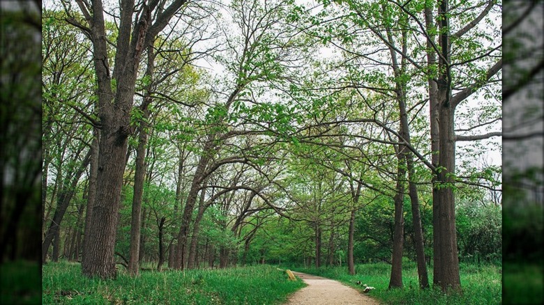 North Park Village Nature Center
